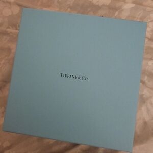 Tiffany & Co. Blue Large Box